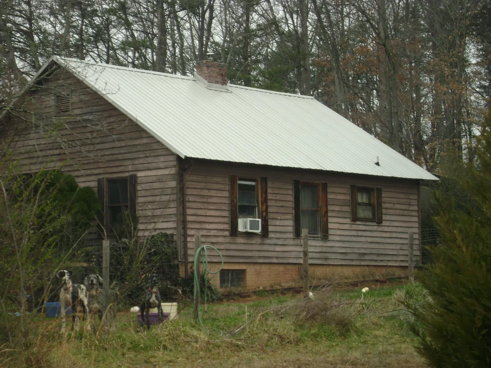 White metal roof on an old wood sided farmhouse, from a Asphalt Shingle Roof Repair job in Central City